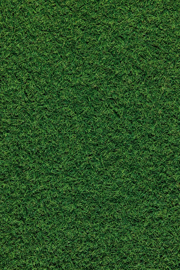 Artificial Grass Vs Artificial Turf: A Homeowner’s Buyer’s Guide For Durability, Drainage, And Maintenance